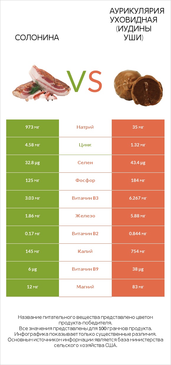 Солонина vs Аурикулярия уховидная (Иудины уши) infographic