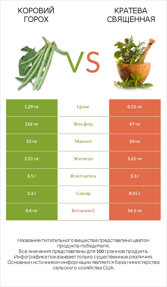 Коровий горох vs Кратева священная infographic