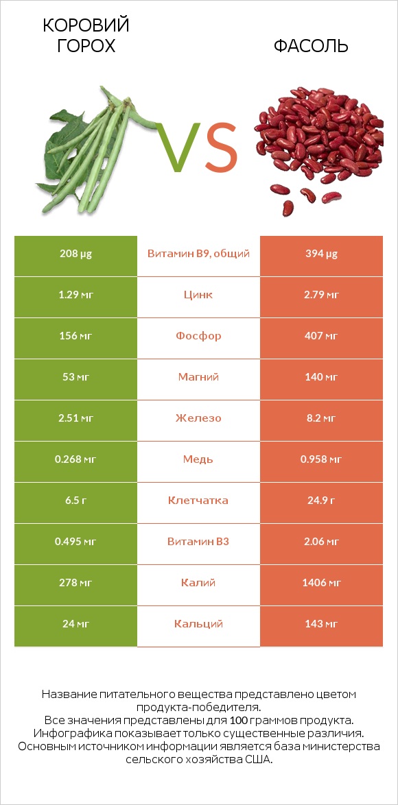 Коровий горох vs Фасоль infographic