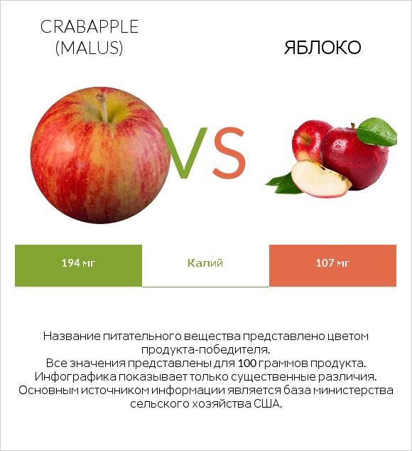 Crabapple (Malus) vs Яблоко infographic