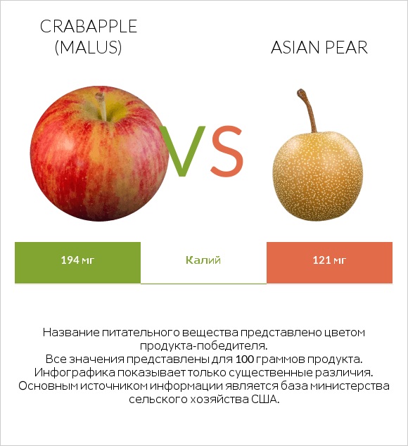 Crabapple (Malus) vs Asian pear infographic