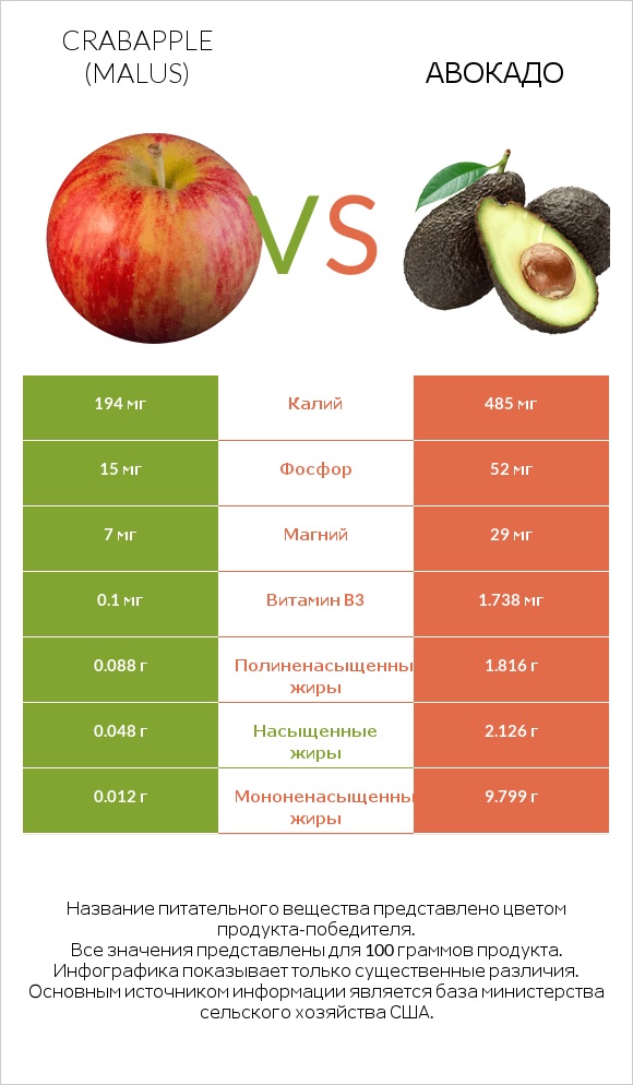 Crabapple (Malus) vs Авокадо infographic