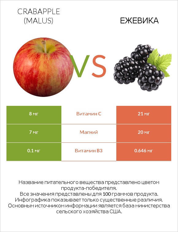 Crabapple (Malus) vs Ежевика infographic