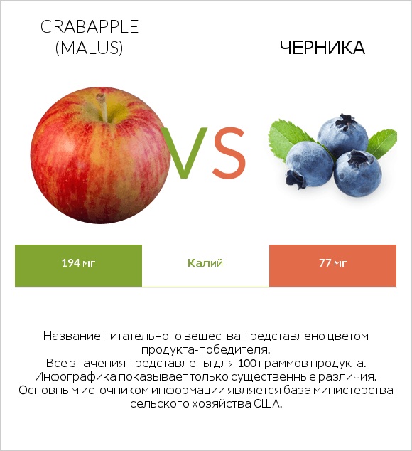 Crabapple (Malus) vs Черника infographic