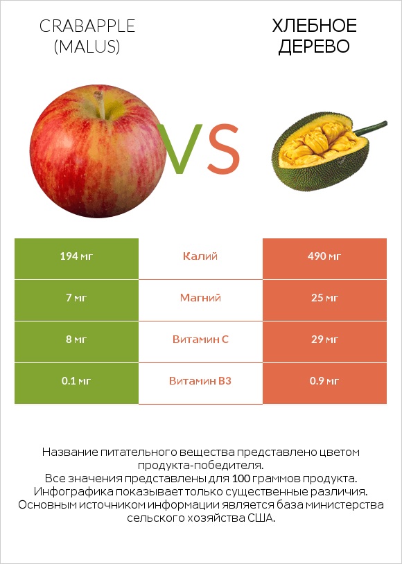 Crabapple (Malus) vs Хлебное дерево infographic