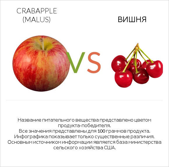 Crabapple (Malus) vs Вишня infographic