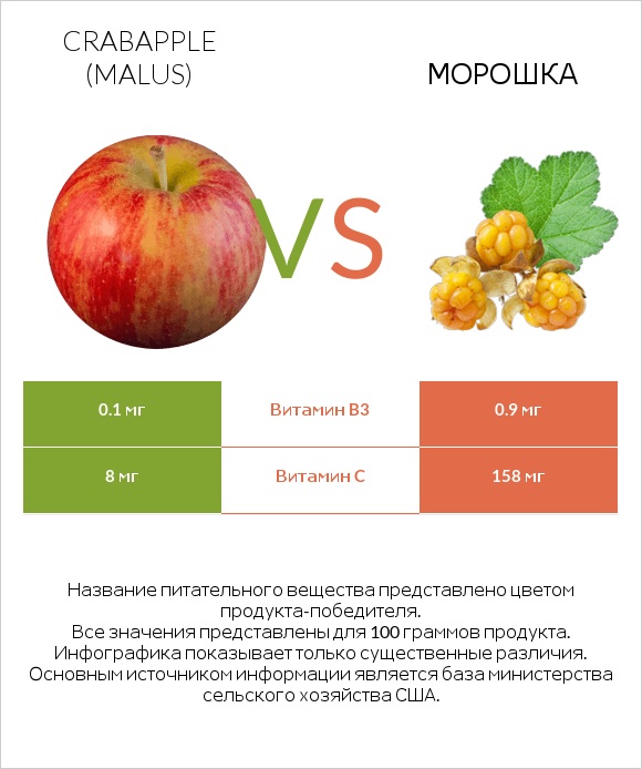 Crabapple (Malus) vs Морошка infographic