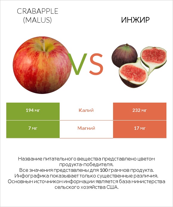 Crabapple (Malus) vs Инжир infographic