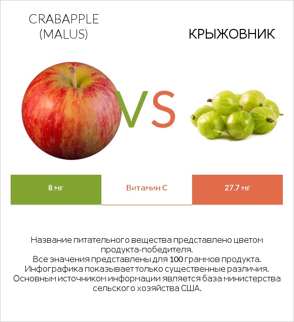Crabapple (Malus) vs Крыжовник infographic
