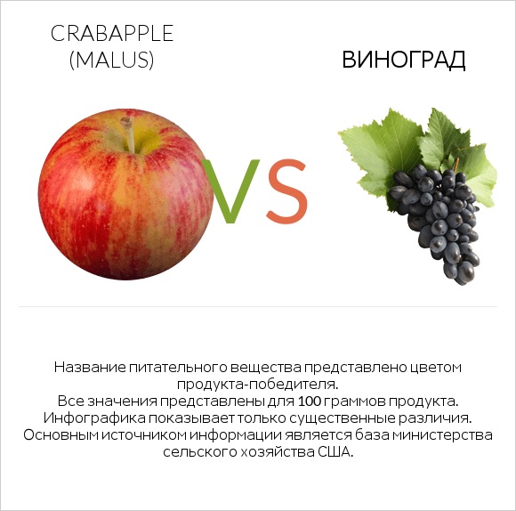Crabapple (Malus) vs Виноград infographic