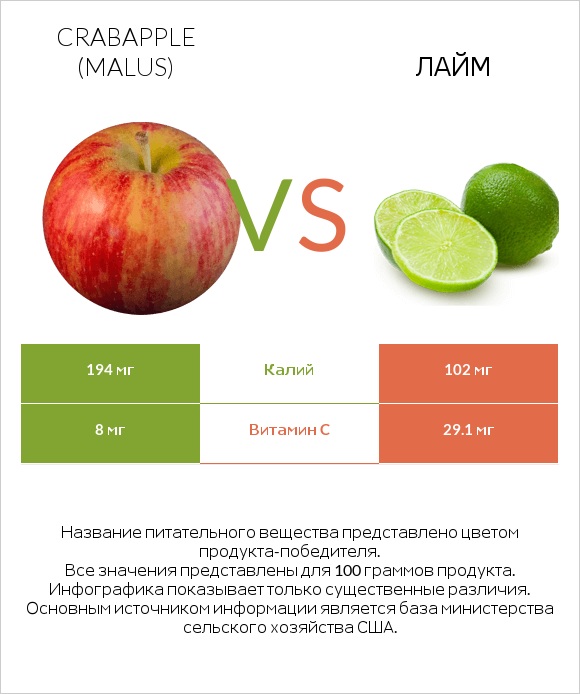 Crabapple (Malus) vs Лайм infographic