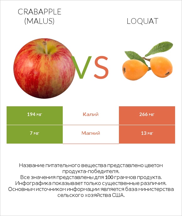 Crabapple (Malus) vs Loquat infographic