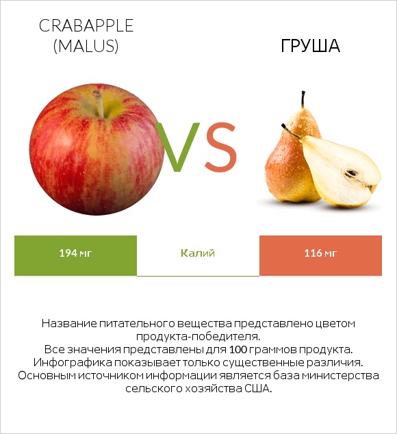 Crabapple (Malus) vs Груша infographic