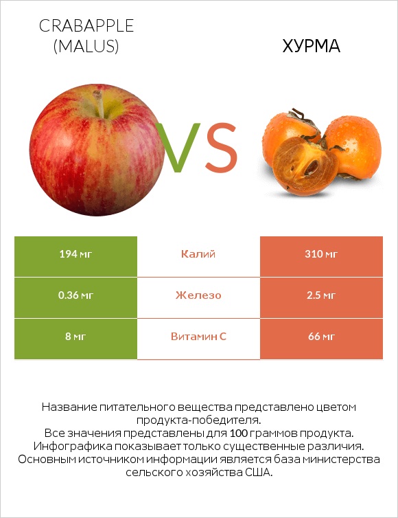 Crabapple (Malus) vs Хурма infographic