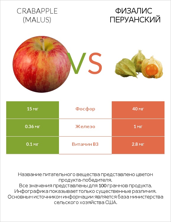 Crabapple (Malus) vs Физалис перуанский infographic