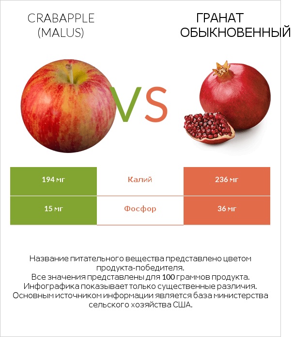Crabapple (Malus) vs Гранат обыкновенный infographic