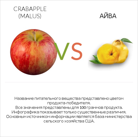 Crabapple (Malus) vs Айва infographic