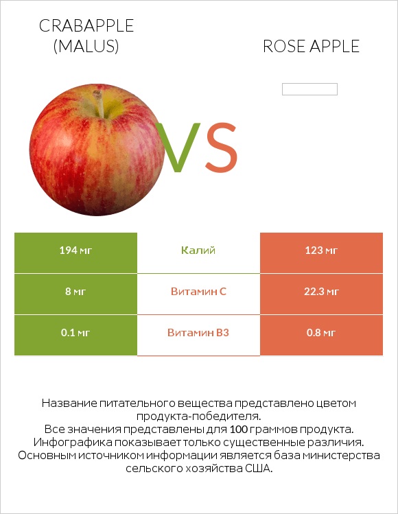 Crabapple (Malus) vs Rose apple infographic