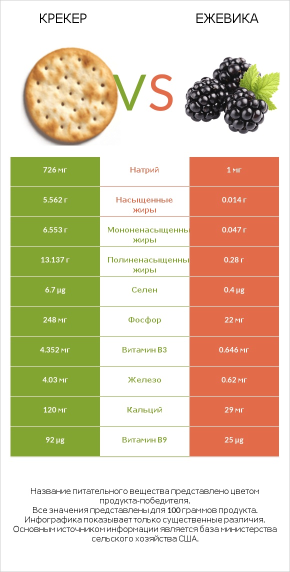 Крекер vs Ежевика infographic