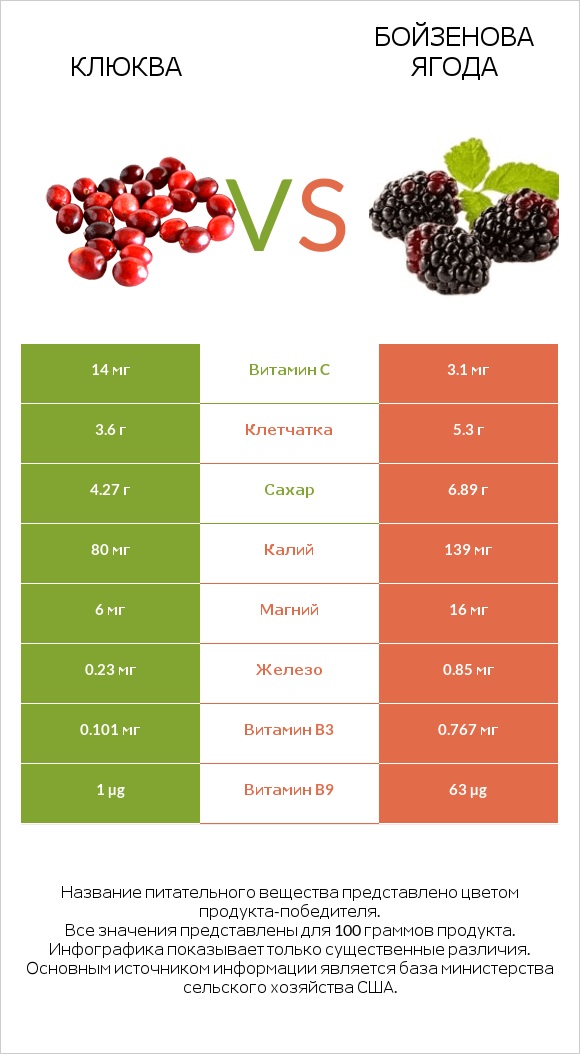 Клюква vs Бойзенова ягода infographic