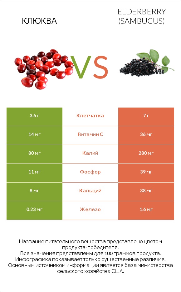 Клюква vs Elderberry infographic
