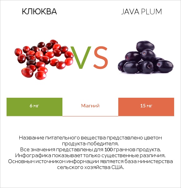 Клюква vs Java plum infographic