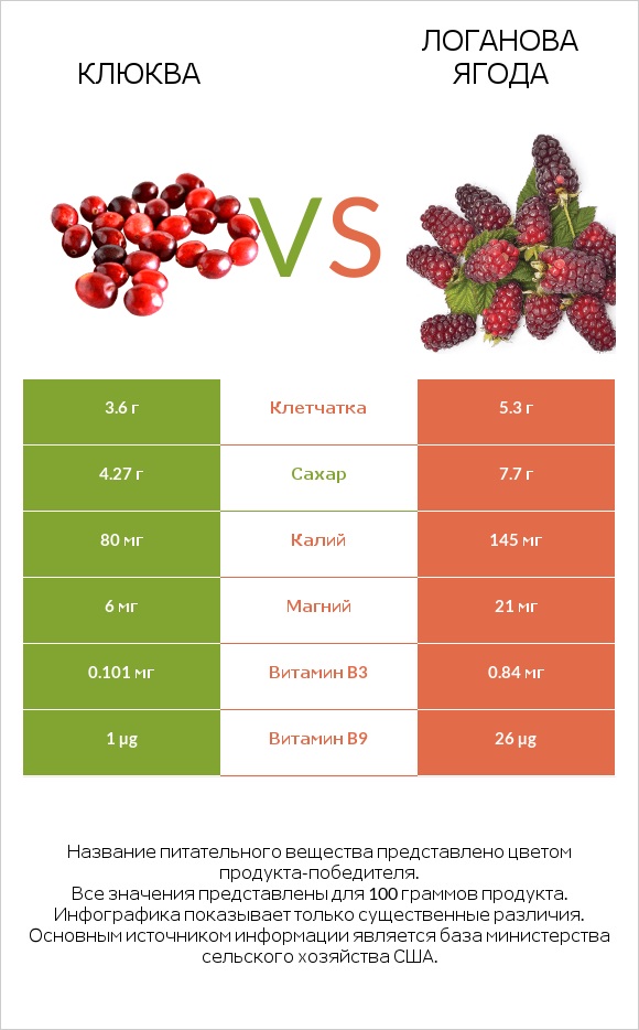 Клюква vs Логанова ягода infographic