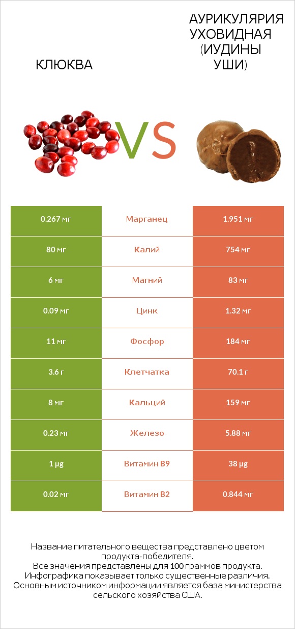 Клюква vs Аурикулярия уховидная (Иудины уши) infographic