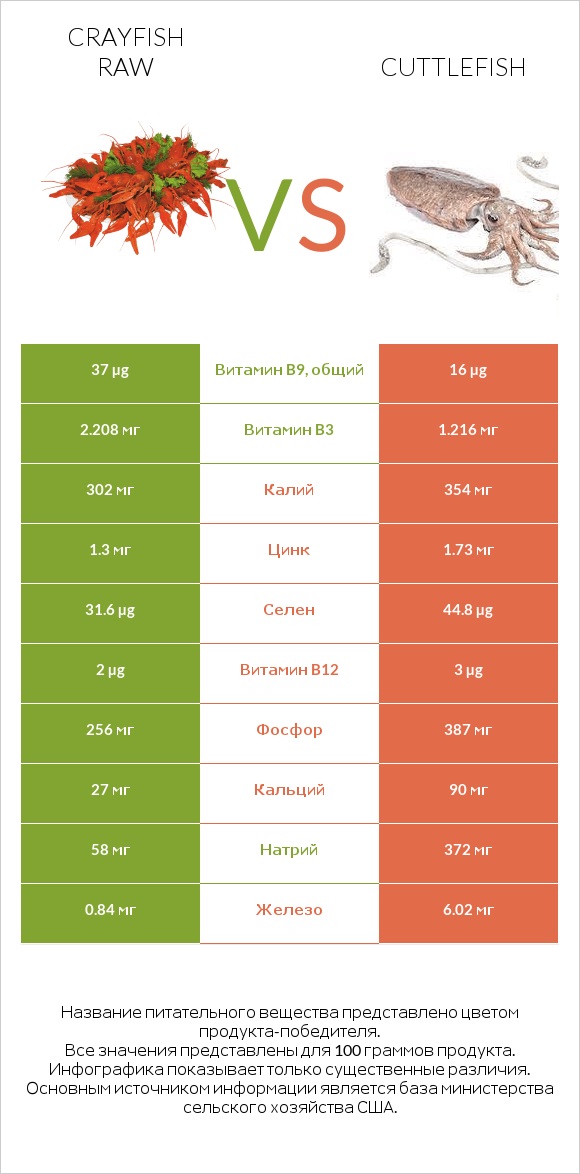 Crayfish raw vs Cuttlefish infographic