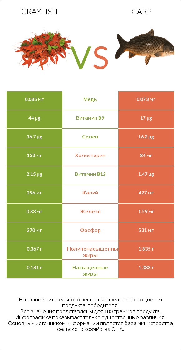 Crayfish vs Carp infographic