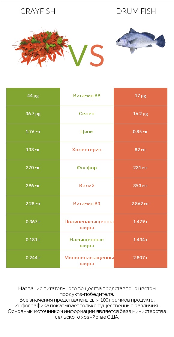 Crayfish vs Drum fish infographic