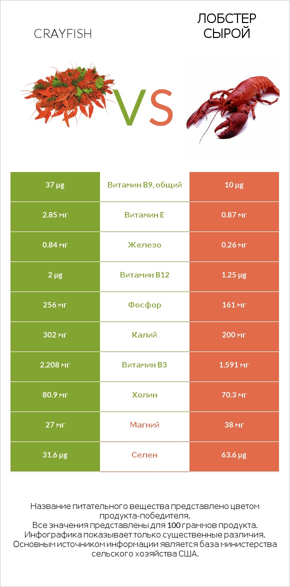 Crayfish vs Лобстер сырой infographic