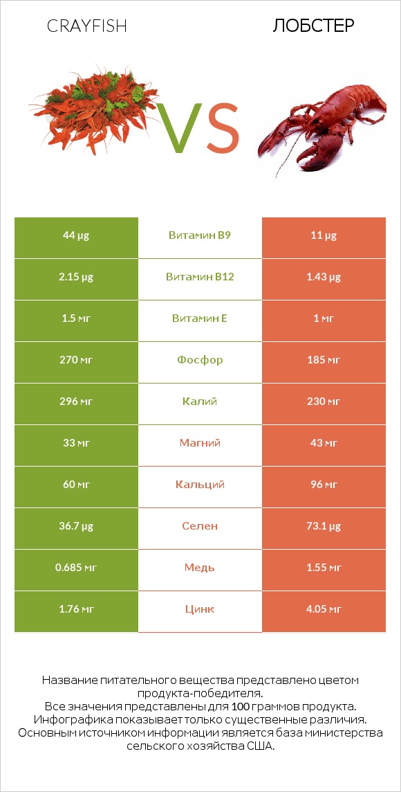 Crayfish vs Лобстер infographic