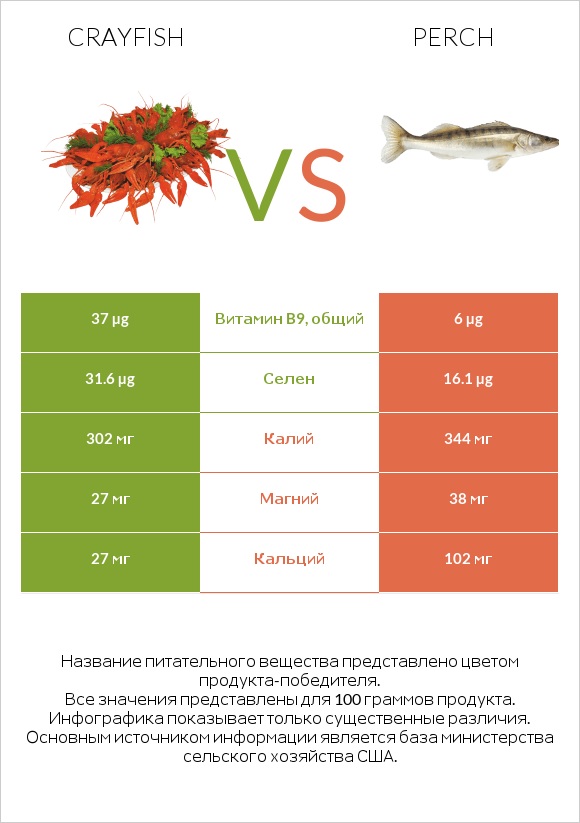 Crayfish vs Perch infographic