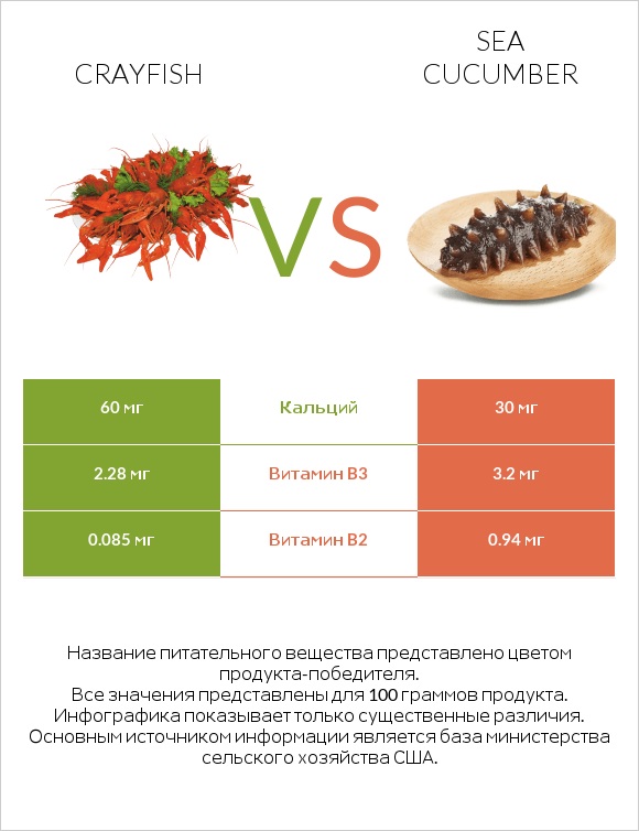 Crayfish vs Sea cucumber infographic