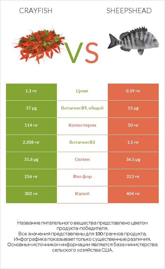 Crayfish vs Sheepshead infographic
