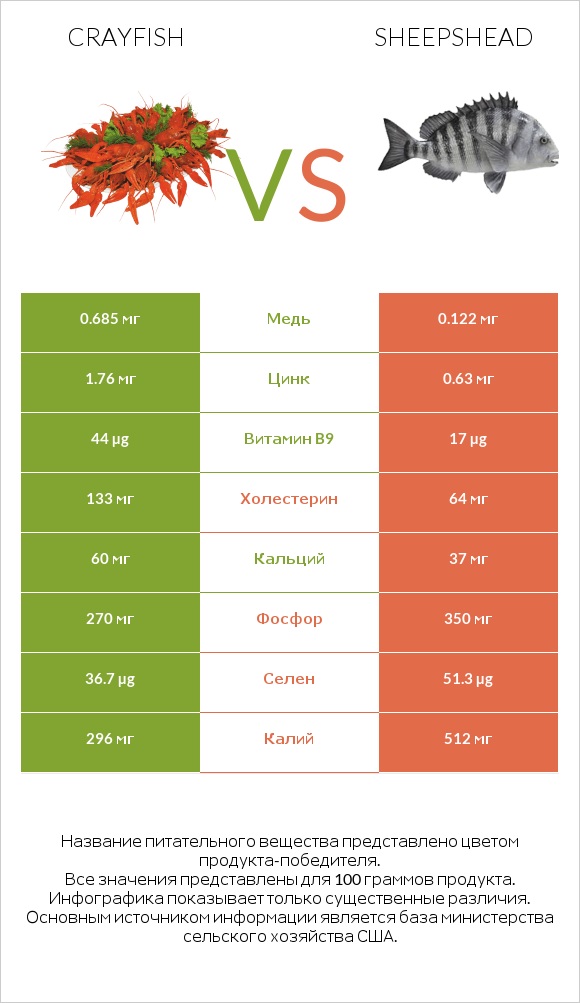 Crayfish vs Sheepshead infographic