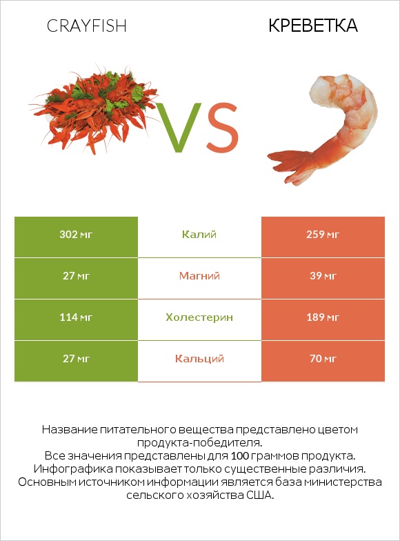 Crayfish vs Креветка infographic