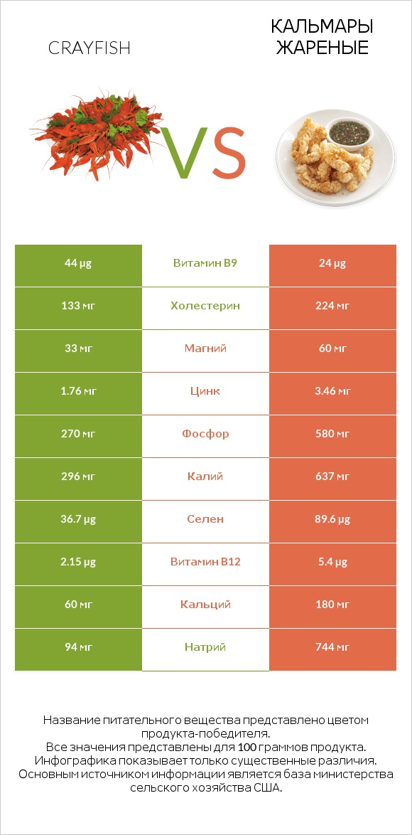 Crayfish vs Кальмары жареные infographic