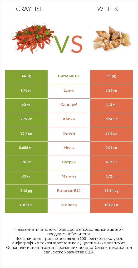 Crayfish vs Whelk infographic