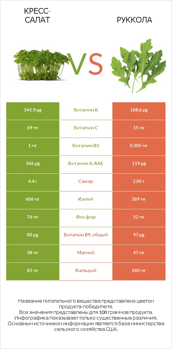 Кресс-салат vs Руккола infographic