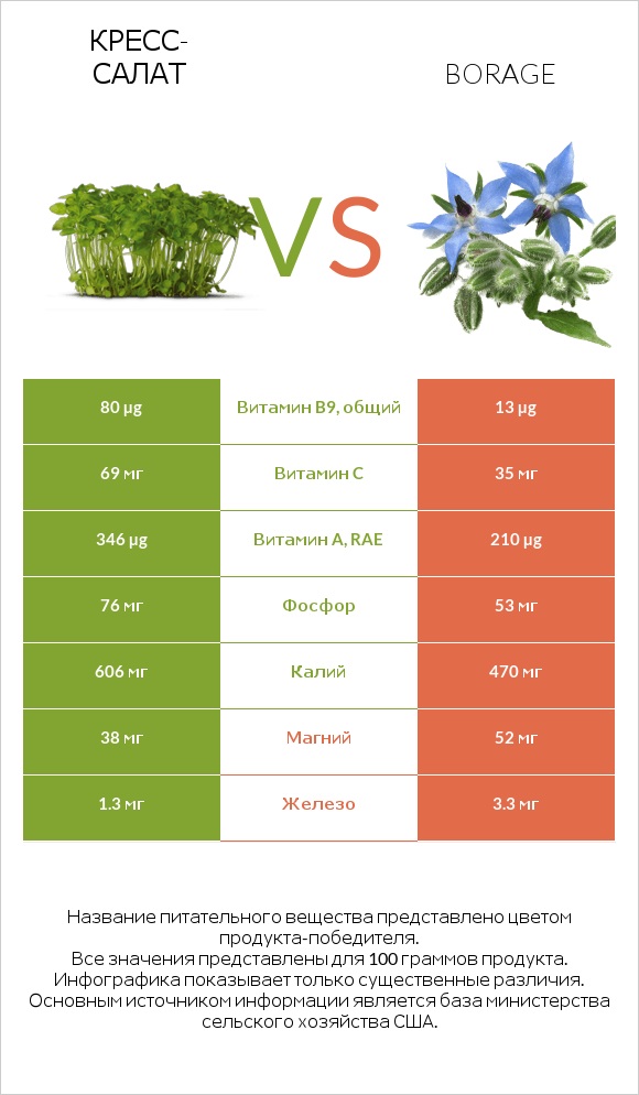 Кресс-салат vs Бурачник лекарственный infographic