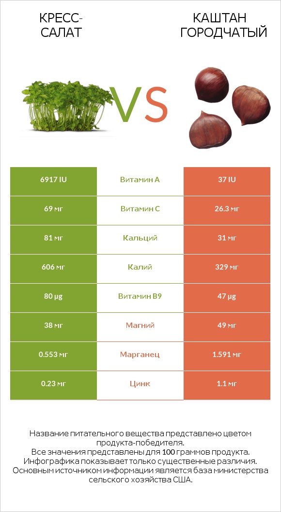 Кресс-салат vs Каштан городчатый infographic