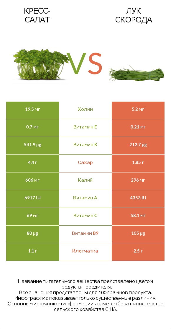 Кресс-салат vs Лук скорода infographic