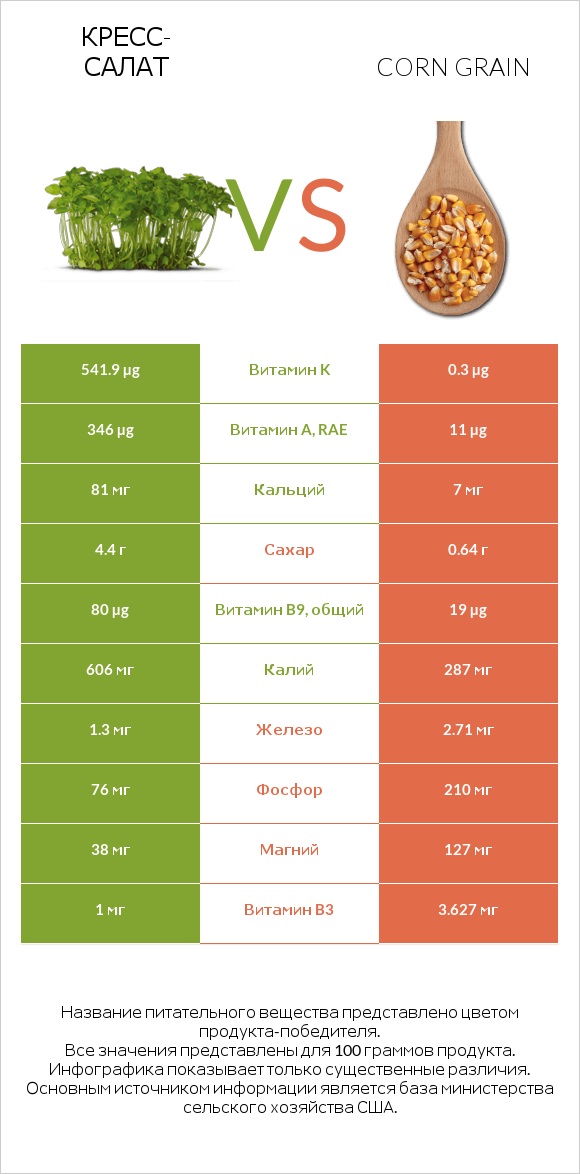 Кресс-салат vs Corn grain infographic