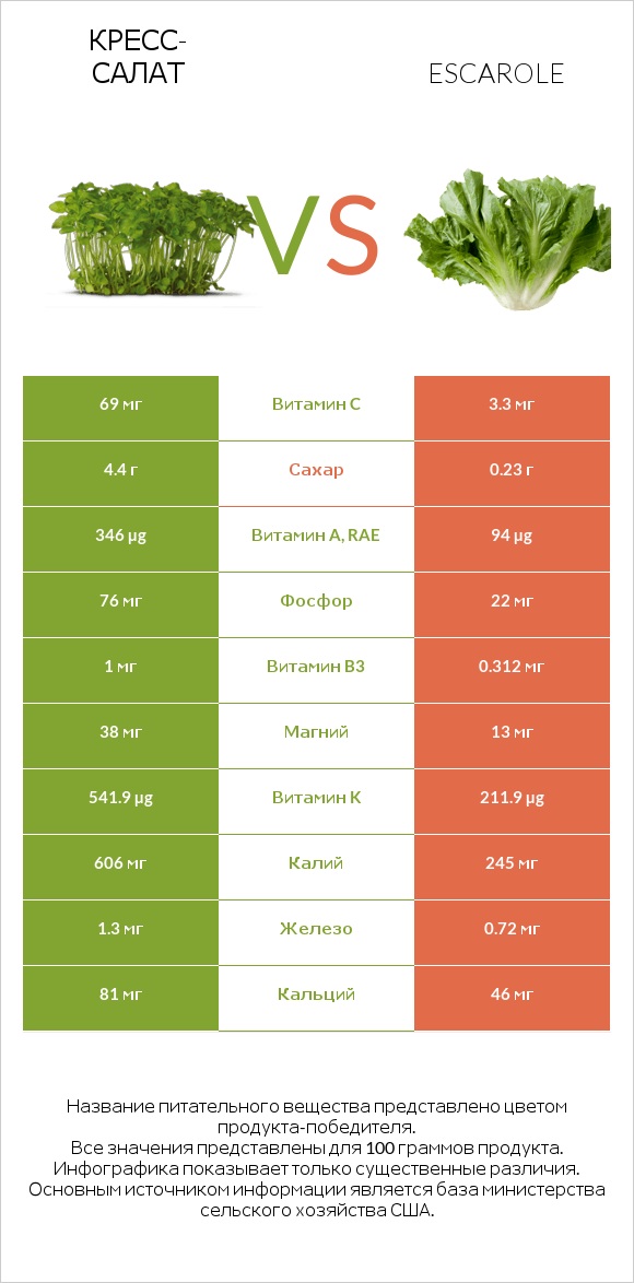 Кресс-салат vs Салат Эскарол (эскариоль) infographic