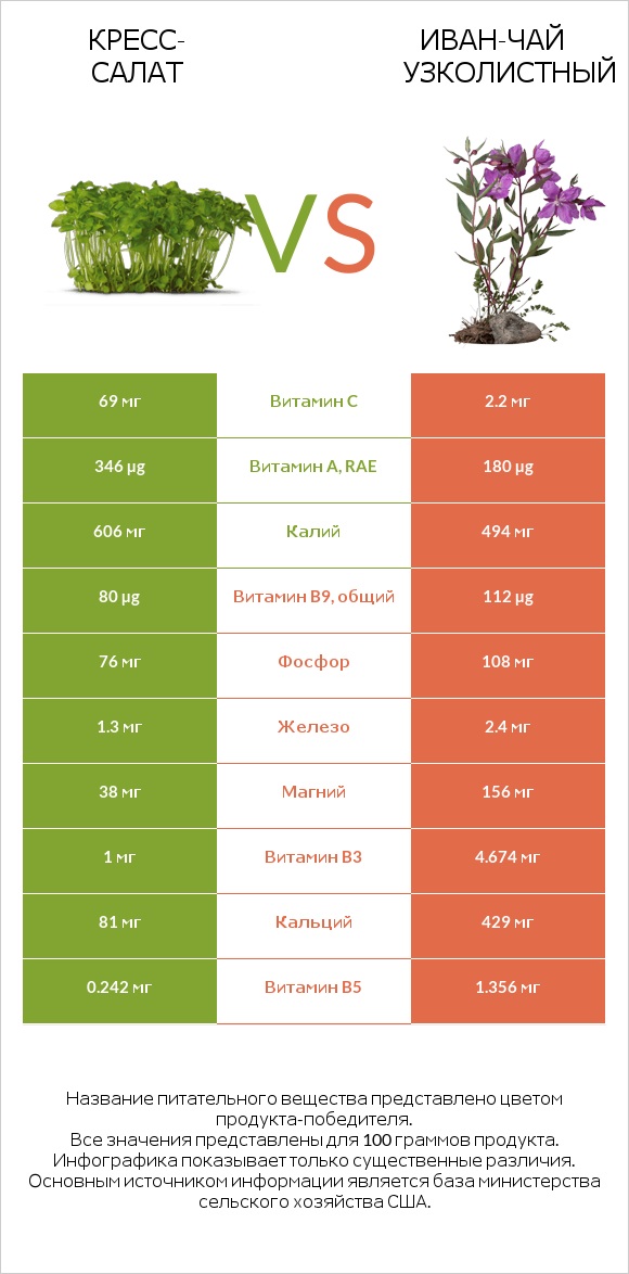 Кресс-салат vs Иван-чай узколистный infographic