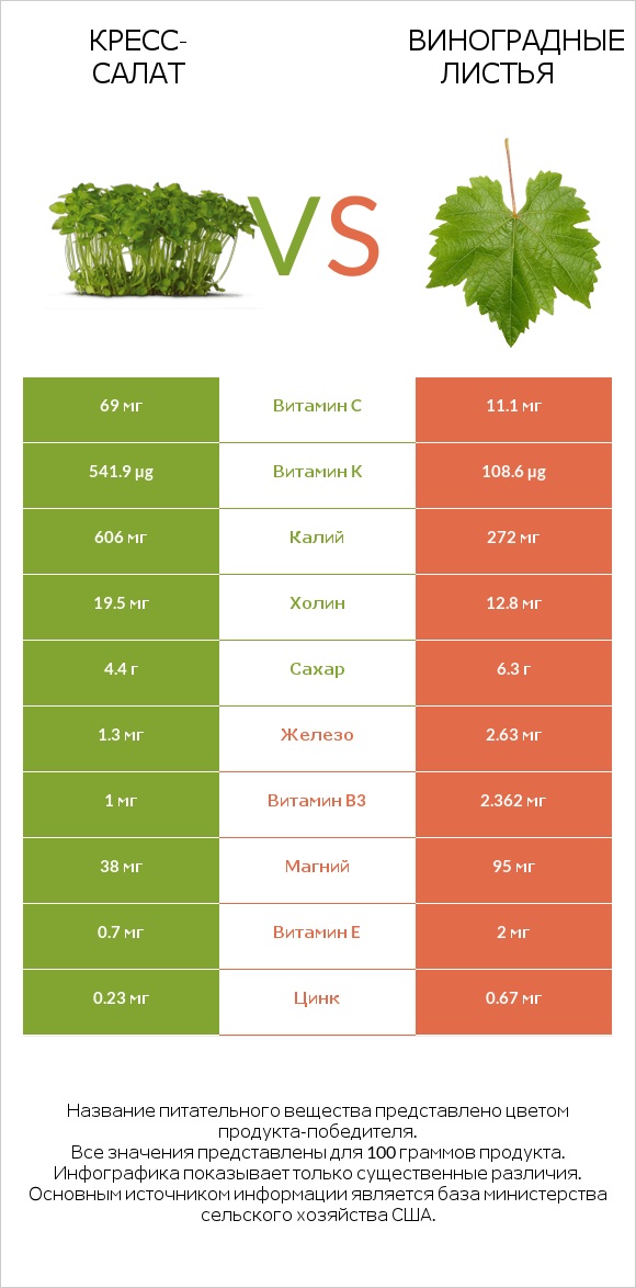 Кресс-салат vs Виноградные листья infographic