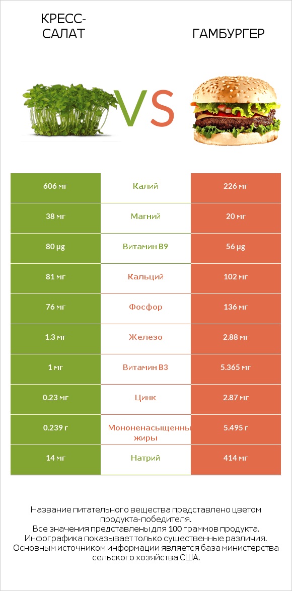 Кресс-салат vs Гамбургер infographic