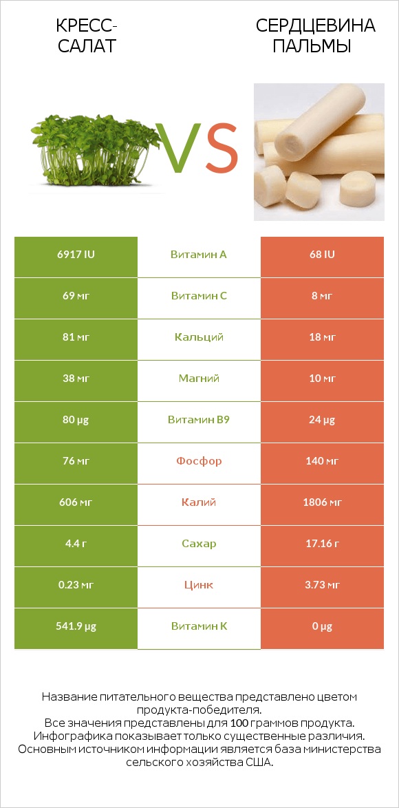 Кресс-салат vs Сердцевина пальмы infographic